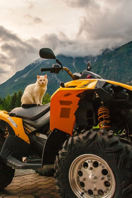 Side: 4x4 Off Road Quad Safari With Transfer - Booking and Cancellation