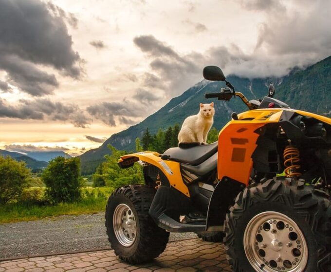 Side: 4x4 Off Road Quad Safari With Transfer - Tour Highlights