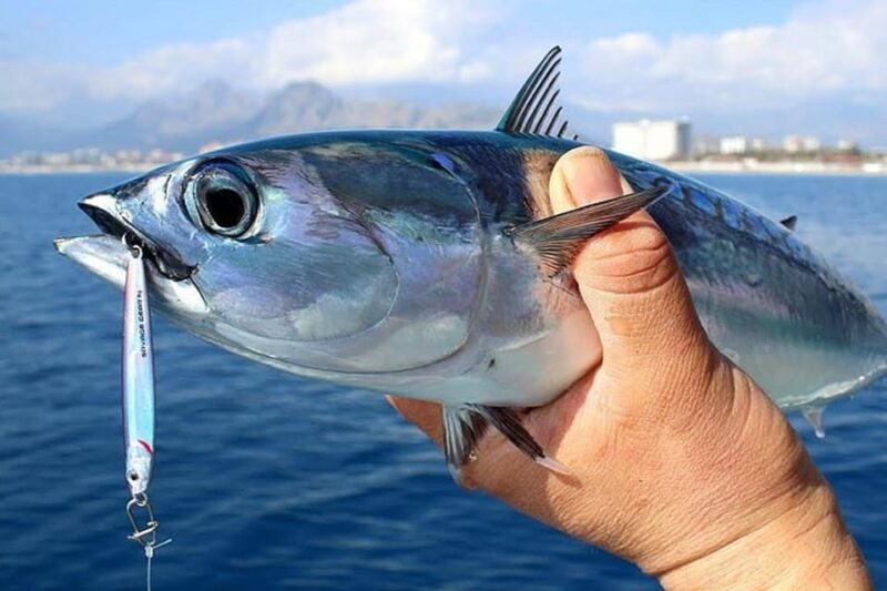Side: A Fishing Tour for the Avid Anglers Soul - Important Information and Recommendations