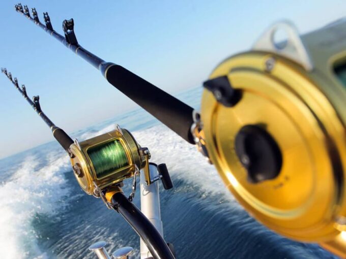 Side: A Fishing Tour for the Avid Anglers Soul - Gear and Equipment Provided