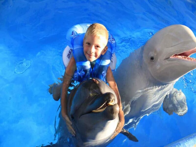 Side/Alanya: Swimming With Dolphins - Key Points