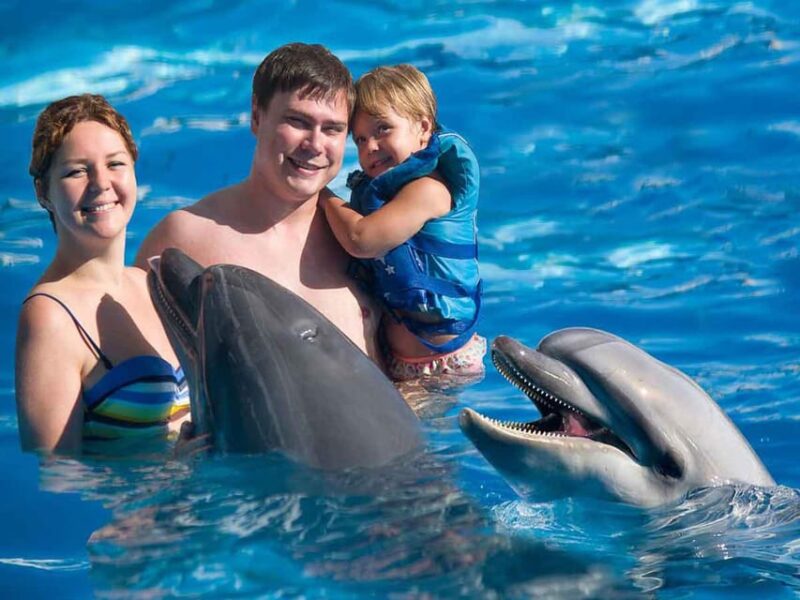Side/Alanya: Swimming With Dolphins - Itinerary and Logistics