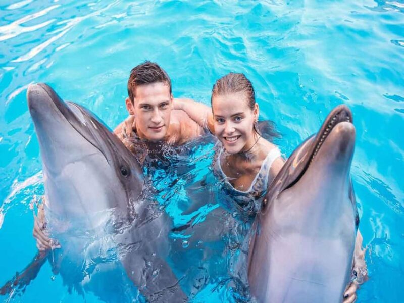 Side/Alanya: Swimming With Dolphins - Experience Highlights