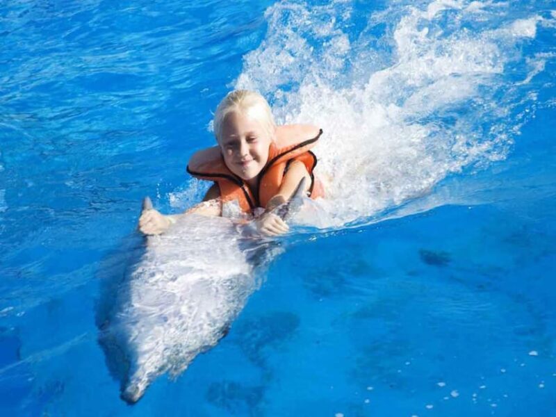 Side/Alanya: Swimming With Dolphins - Inclusions and Exclusions
