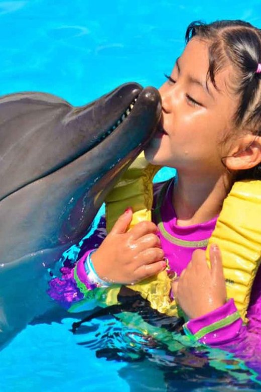 Side/Alanya: Swimming With Dolphins - Important Information
