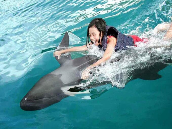 Side/Alanya: Swimming With Dolphins - Pickup and Drop-off Locations