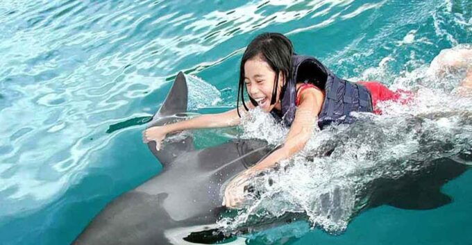 Side/Alanya: Swimming With Dolphins - Duration and Availability