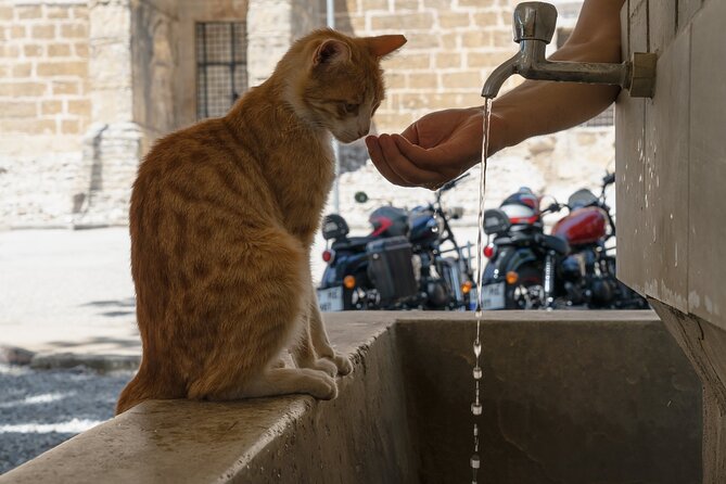 Side Antalya - Private Full Day Motorcycle Adventure Tour - Motorcycle Rental Details
