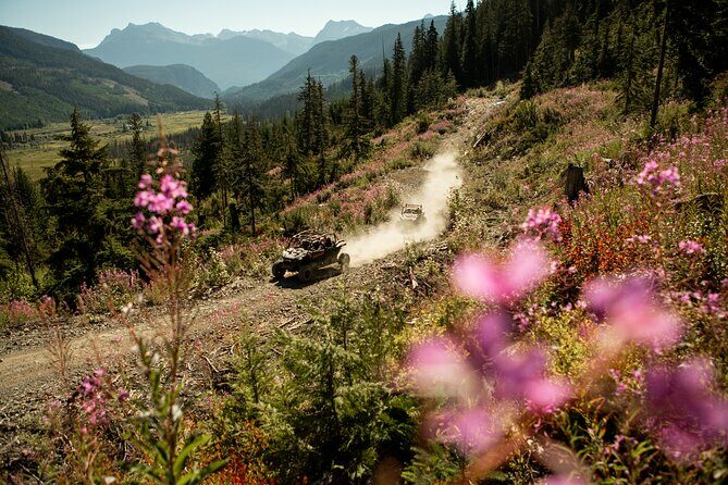 Side-by-Side Off-Roading Adventures on Cougar Mountain - A Closer Look at the Adventure: What to Expect