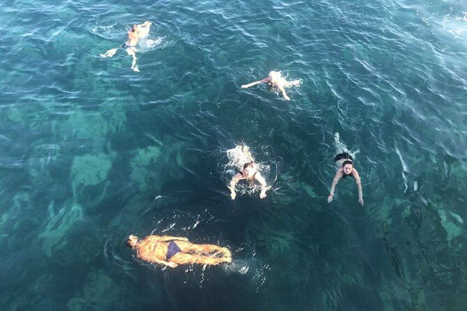 Side: Dolphin Island Boat Tour With Foam Party and Lunch - Dolphin Island Visit