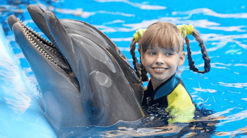 Side: Dolphin Park Transfer Service - Experience Highlights