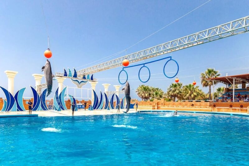 Side: Dolphin Park Transfer Service - Important Information