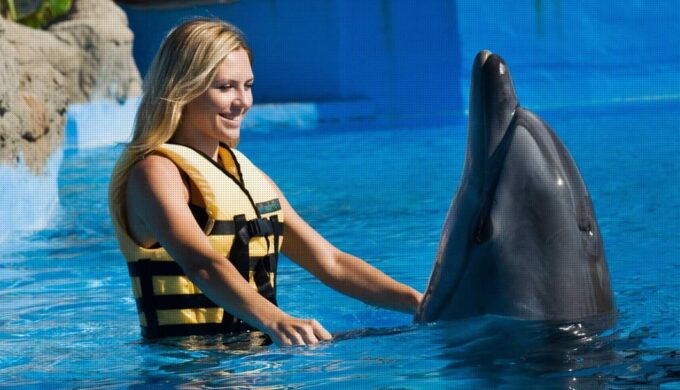 Side: Dolphin Park Transfer Service - Tips for a Memorable Visit