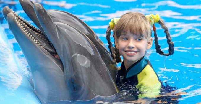Side: Dolphin Park Transfer Service - Frequently Asked Questions