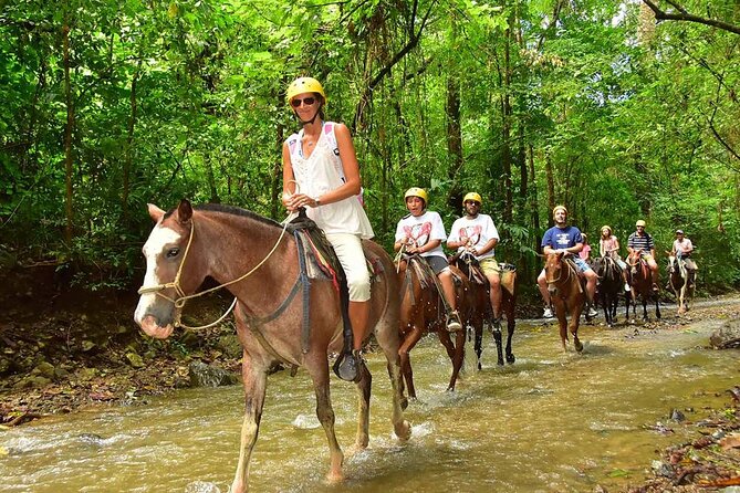 Side Horse Riding On Beach And Through The Forests For 2 Hours - Customer Reviews
