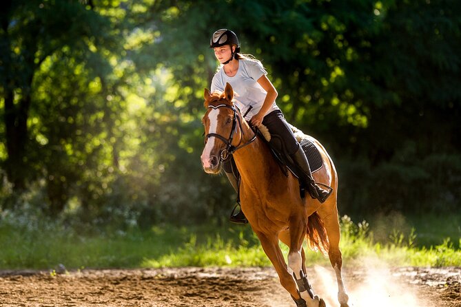 Side Horse Riding On Beach And Through The Forests For 2 Hours - Safety Considerations