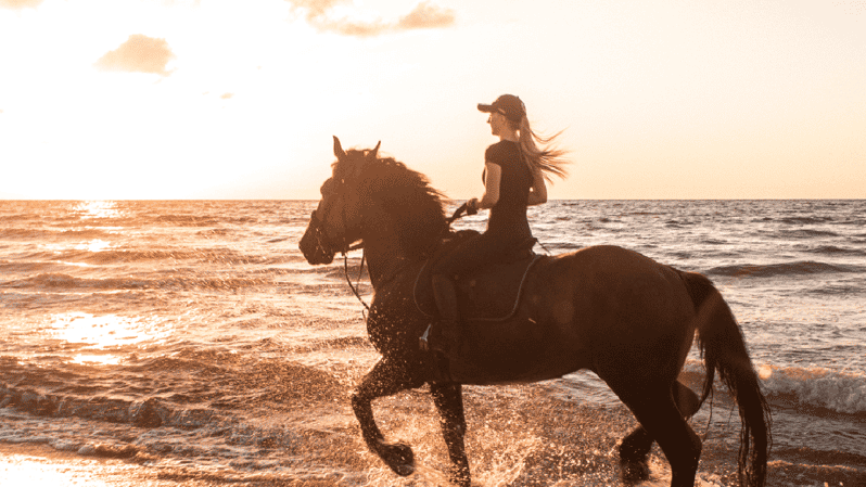 Side: Horseback Riding Tour in Nature With Transfer - Experience and Highlights