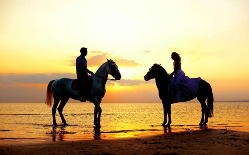 Side: Horseback Riding Tour in Nature With Transfer - Itinerary and Activities