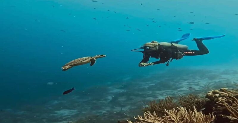 Side or Alanya Scuba Diving Experience - Experience Highlights