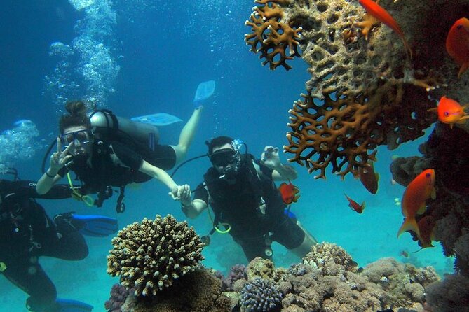 Side Scuba Diving Adventure With Lunch & Roundtrip Transfer - Transportation and Pickup Details