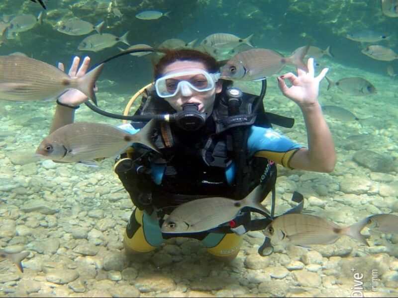 Side Scuba Diving: Explore Underwater Marvels - Safety and Comfort
