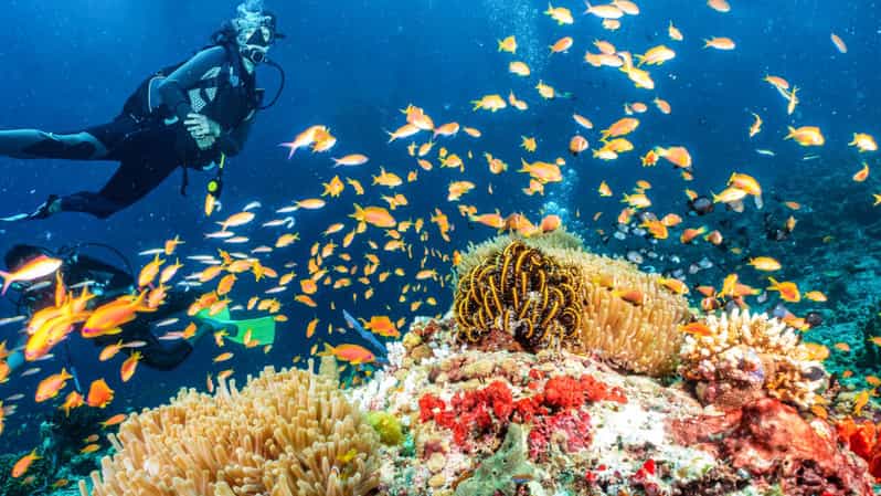 Side: Scuba Diving Tour Journey To The Depths Of The Blue - Tour Logistics