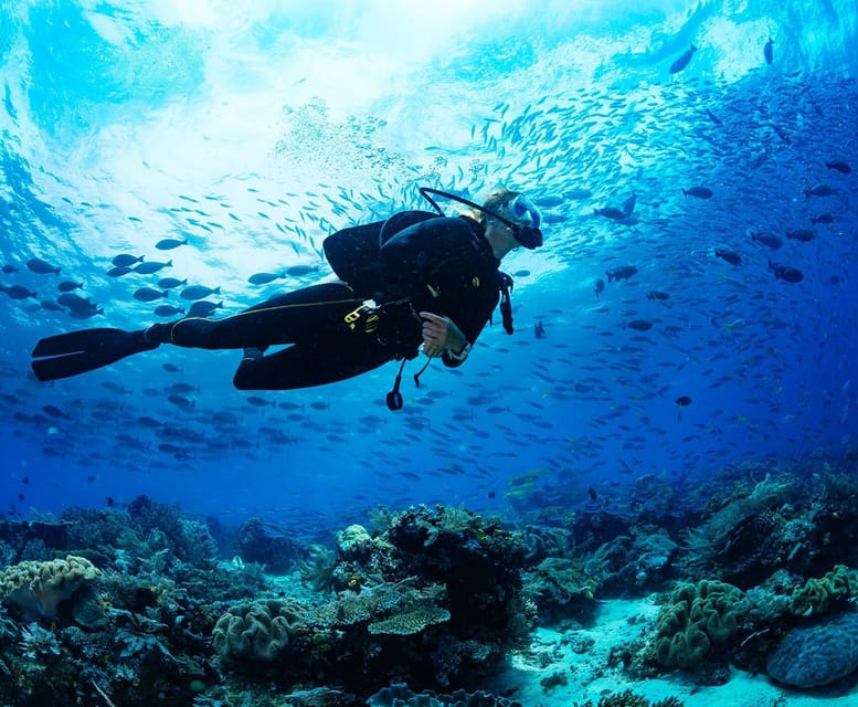 Side: Scuba Diving Tour Journey To The Depths Of The Blue - Customer Feedback