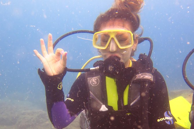 Side: Scuba Diving Under Water Museum - About Your Stay