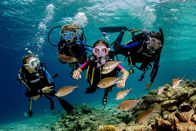 Side Scuba Diving With Under Water Museum: 2 Dives With Lunch And Free Transfer - Optional Services