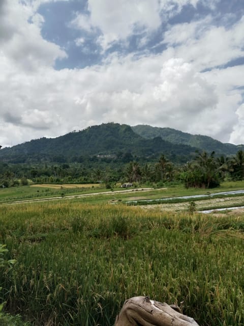 Sidemen Adventures: The Scenic Rice Fields and Village Life - What to Bring & Important Information