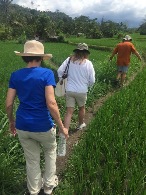 Sidemen/Bali: Rular Scene of Sidemen Trekking - Key Points