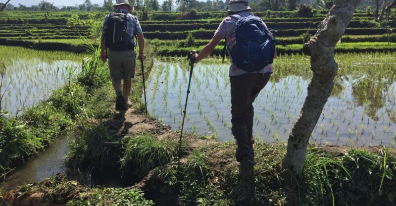 Sidemen/Bali: Rular Scene of Sidemen Trekking - Itinerary and Experience
