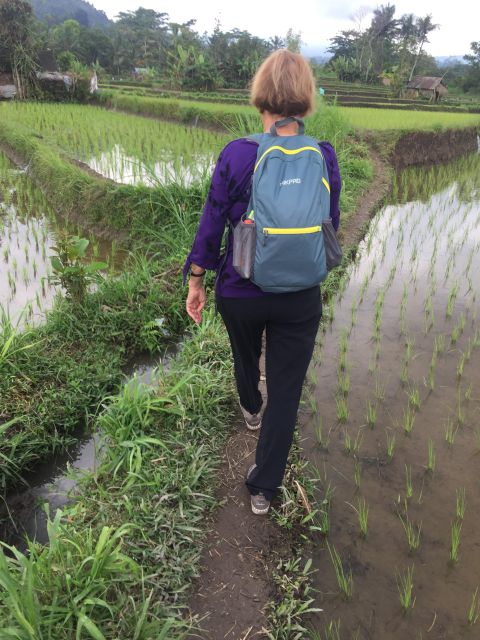 Sidemen/Bali: Rular Scene of Sidemen Trekking - Trekking Details