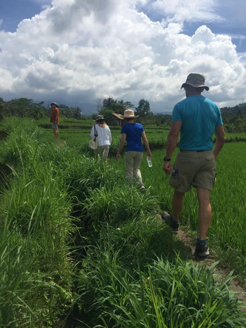 Sidemen/Bali: Rular Scene of Sidemen Trekking - Preparation and Restrictions