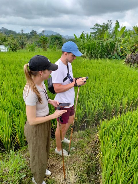 Sidemen/Bali: Rular Scene of Sidemen Trekking - Price and Booking