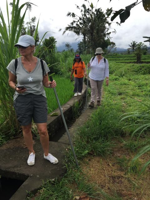 Sidemen/Bali: Rular Scene of Sidemen Trekking - Highlights of the Trek