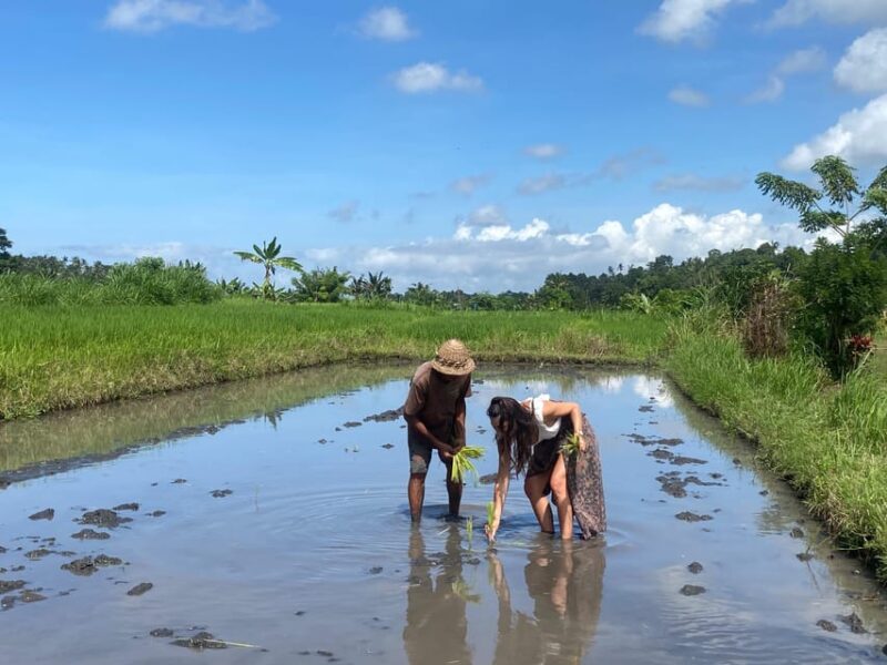 Sidemen: Balinese Traditional Activities - Important Information
