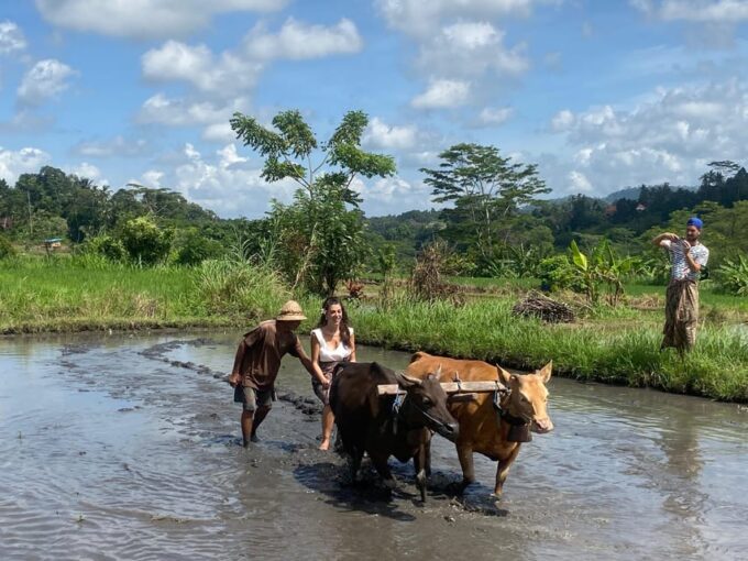 Sidemen: Balinese Traditional Activities - Customer Reviews
