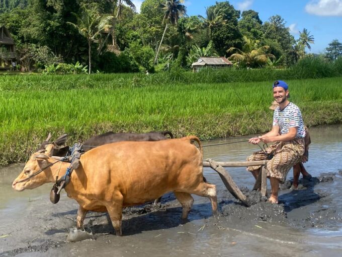 Sidemen: Balinese Traditional Activities - Village Walk and Activities
