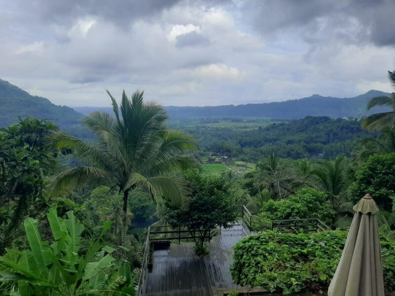Sidemen: Rice Terraces and Hidden Waterfall - Key Points