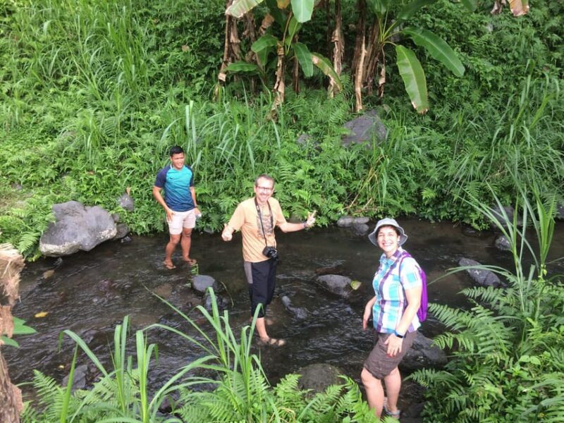 Sidemen: Rice Terraces and Hidden Waterfall - Itinerary
