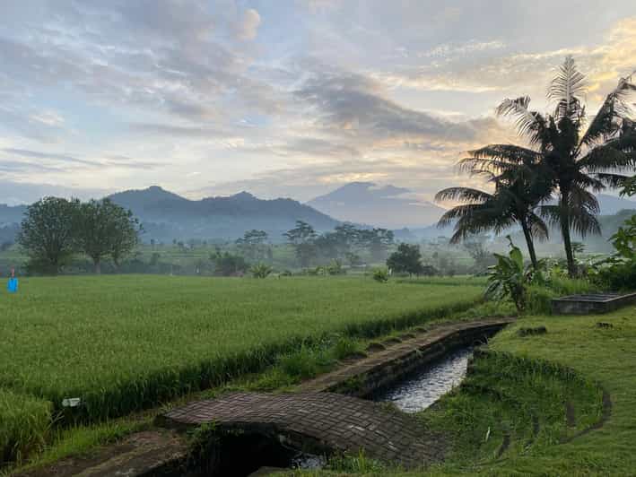 Sidemen: Rice Terraces and Hidden Waterfall - Inclusions