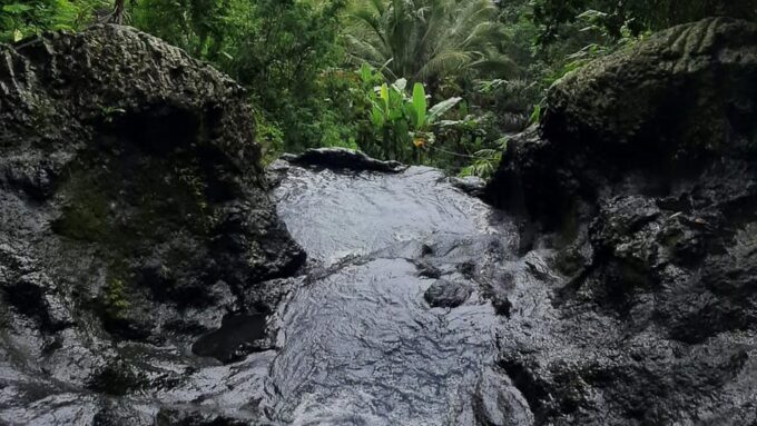 Sidemen: Rice Terraces and Hidden Waterfall - Hotel Pickup and Drop-off