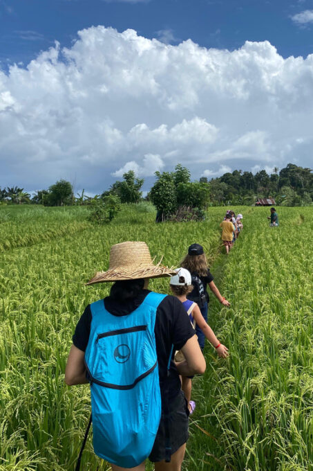 Sidemen: Rice Terraces and Hidden Waterfall - Frequently Asked Questions