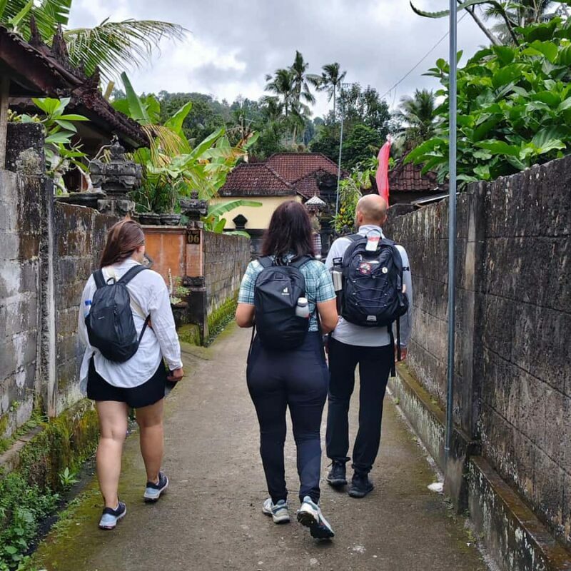 Sidemen: Rice Terraces, Waterfall, & Village Tour - Walking Through a Traditional Balinese Village