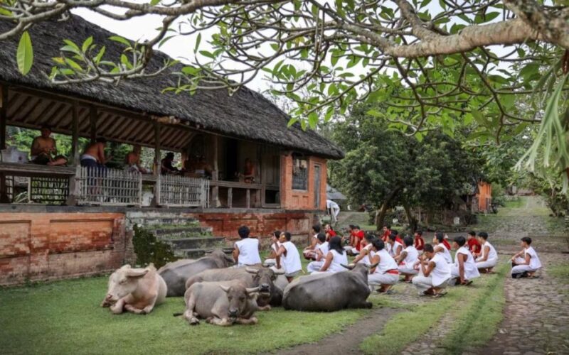 Sidemen: Traditional Villages, Salt Farm & Tirta Gangga Tour - Experience Description