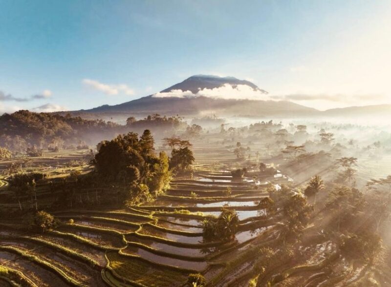 Sidemen: Traditional Villages, Salt Farm & Tirta Gangga Tour - Customer Reviews and Ratings