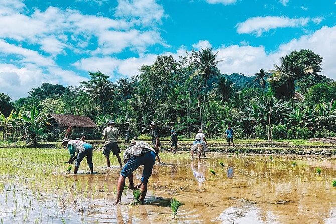 Sidemen Trekking: a Walk From Different Perspective - Experience Highlights