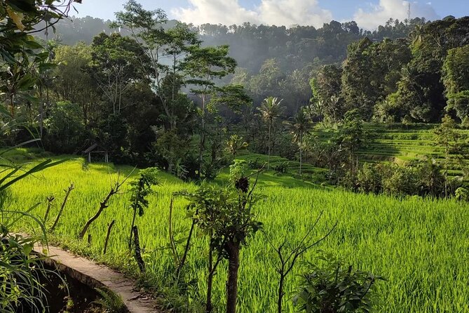 Sidemen Trekking: a Walk From Different Perspective - Exploring Local Agriculture
