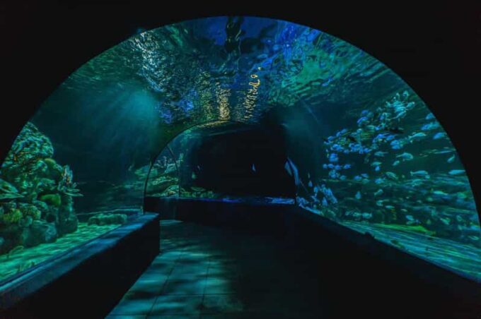Siem Reab: Angkor Wildlife & Aquarium - Comfortable Accessibility Options